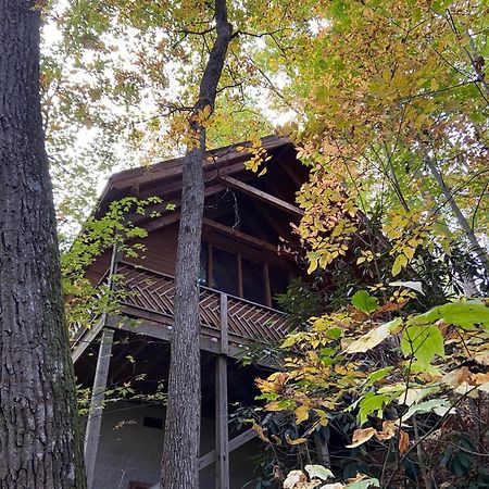 Above Ole Smokys Clouds Villa Гетлинбург Екстериор снимка